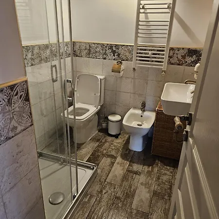 Carolina Mounting View Apartment Brasov